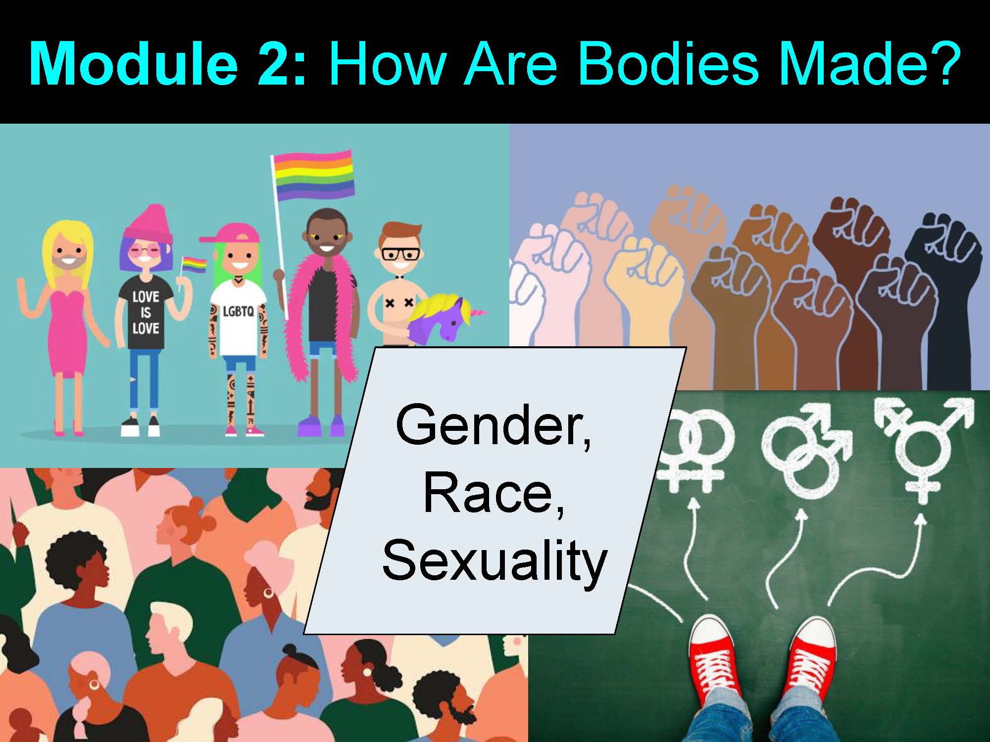 Module 2: How are bodies made?