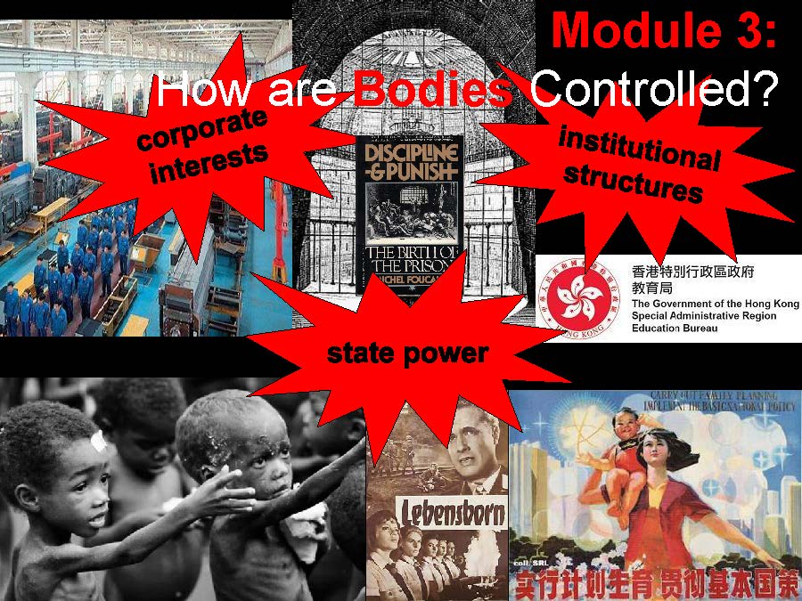 Module 3: How are bodies controlled?
